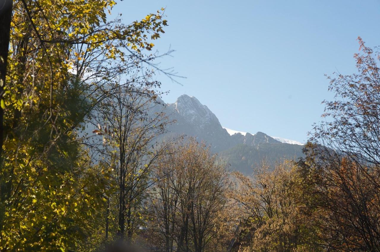 Apartament Pod Orlem Zakopane Extérieur photo