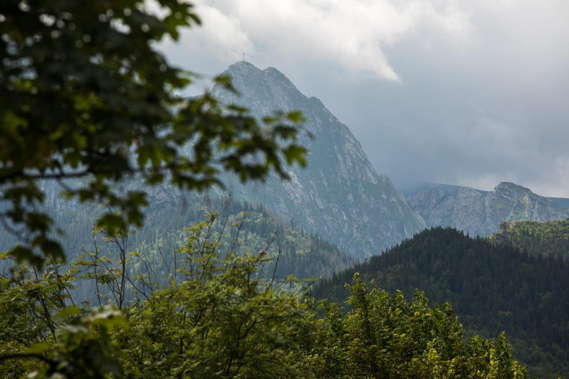 Apartament Pod Orlem Zakopane Extérieur photo